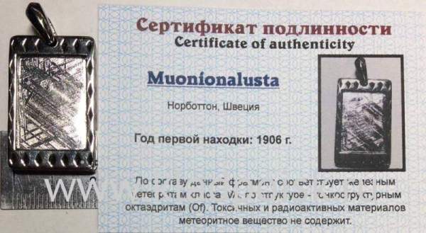 Подвеска из метеорита Муонионалуста (Muonionalusta) оправа из нержавеющей стали (арт 23)