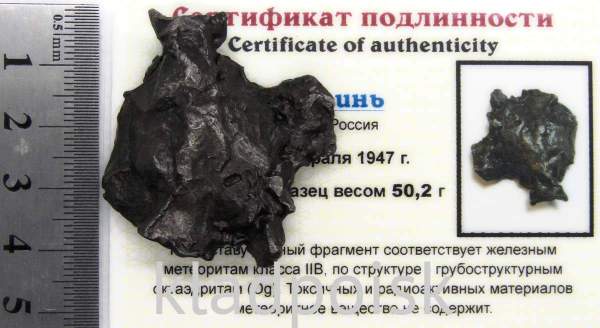 Осколок метеорита Сихотэ-Алинь арт 25