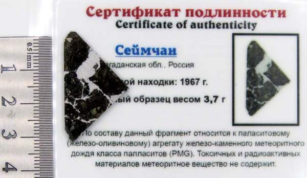 Спил метеорита Сеймчан арт 1