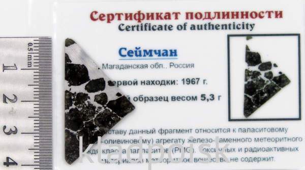 Спил метеорита Сеймчан арт 5