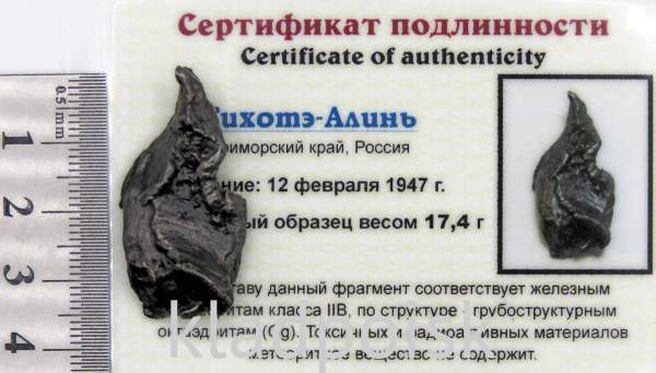 Осколок метеорита Сихотэ-Алинь арт 21