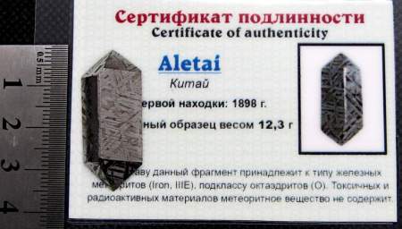 Ограненный осколок метеорита Aletai, арт 16