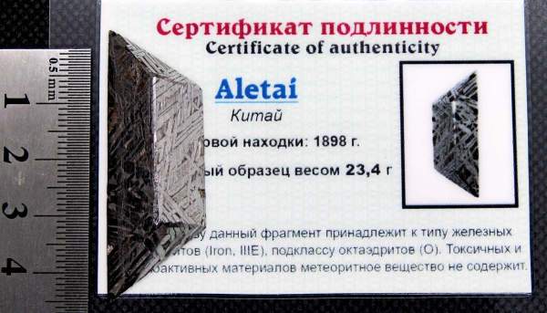Ограненный осколок метеорита Aletai Ограненный осколок метеорита Aletai