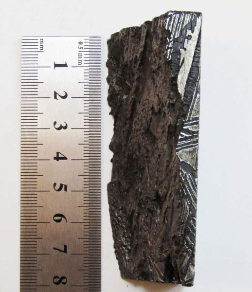 Спил метеорита Aletai, арт 2 Спил метеорита Aletai, арт 2