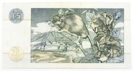 Банкнота 5 фунтов 1996 года Шотландия