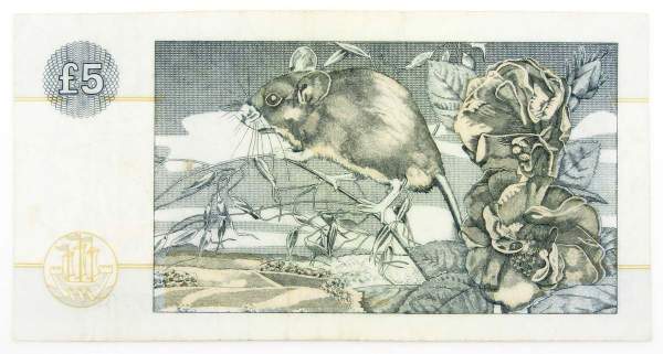 Банкнота 5 фунтов 1996 года Шотландия