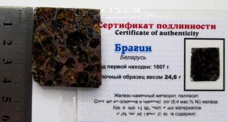 Спил метеорита Брагин (Беларусь)