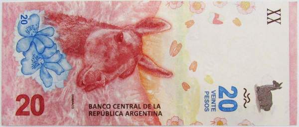 Банкнота Аргентина 20 песо 2017 года, арт 2