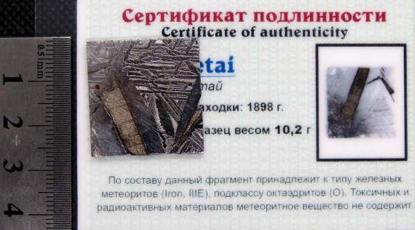 Спил метеорита Aletai, арт 16 Спил метеорита Aletai, арт 16