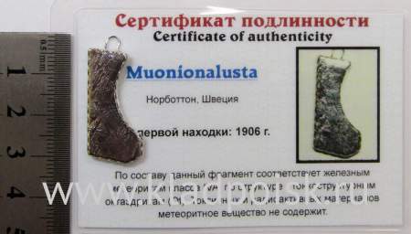 Подвеска из метеорита Муонионалуста (Muonionalusta), арт 1
