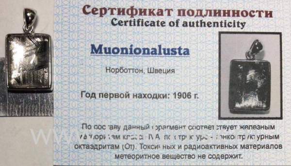Подвеска из метеорита Муонионалуста (Muonionalusta) с родированием (арт 22)