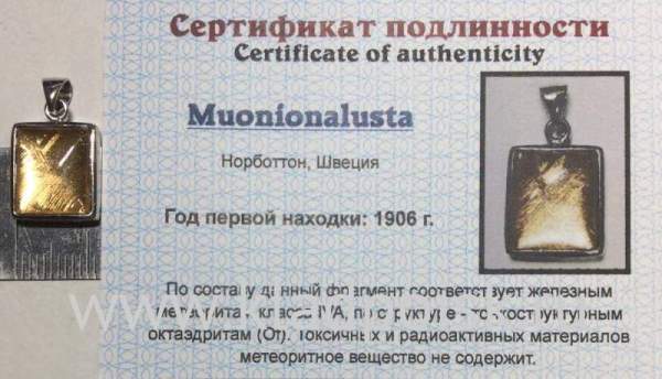 Подвеска из метеорита Муонионалуста (Muonionalusta) с позолотой (арт 9)