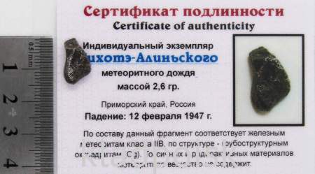 Индивидуальный экземпляр Сихотэ-Алиньского метеоритного дождя (арт 23)