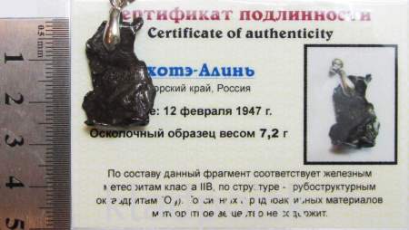 Подвеска из метеорита Сихотэ-Алинь (арт 48) Подвеска из метеорита Сихотэ-Алинь (арт 48)