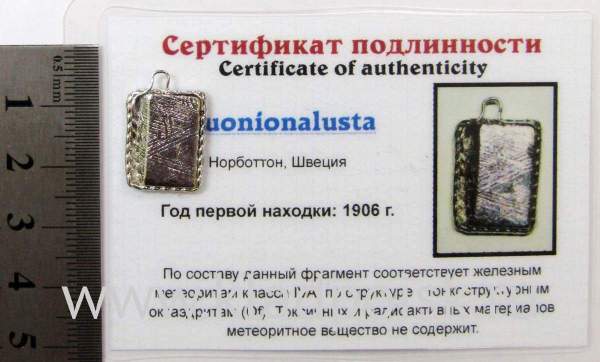 Подвеска из метеорита Муонионалуста (Muonionalusta), арт 11