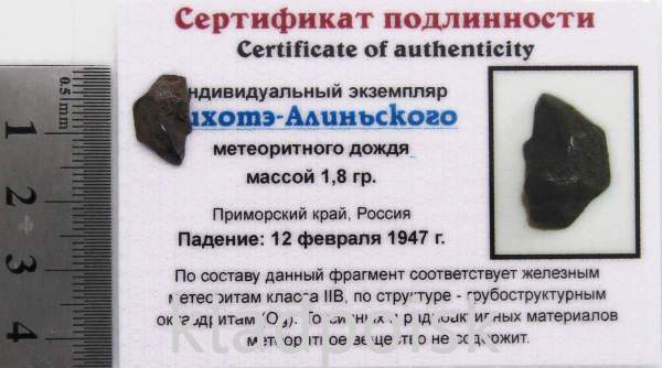 Индивидуальный экземпляр Сихотэ-Алиньского метеоритного дождя (арт 2) Индивидуальный экземпляр Сихотэ-Алиньского метеоритного дождя (арт 2)