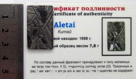 Спил метеорита Aletai, арт 28