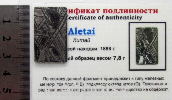 Спил метеорита Aletai, арт 28