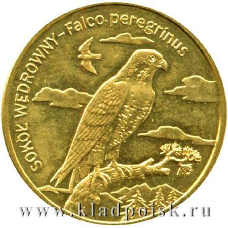 Монета 2 злотых Польша Сапсан 2008