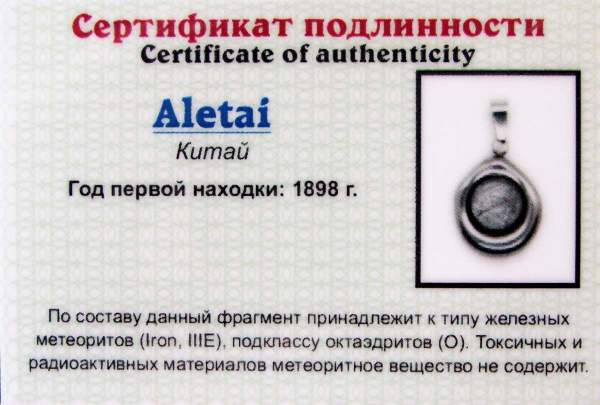 Кулон круглый малый с метеоритом Aletai