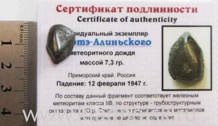 Индивидуальный экземпляр Сихотэ-Алиньского метеоритного дождя (арт 10)