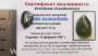 Индивидуальный экземпляр Сихотэ-Алиньского метеоритного дождя (арт 10)
