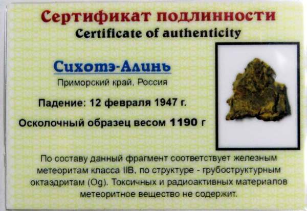 Осколок метеорита Сихотэ-Алинь арт 14