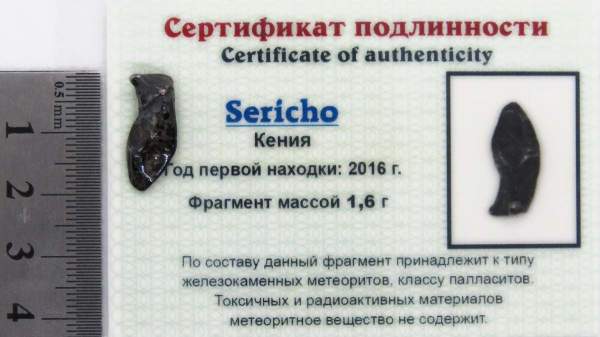Осколок метеорита Sericho (арт 2) Осколок метеорита Sericho (арт 2)