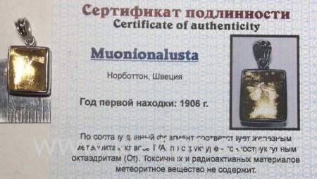 Подвеска из метеорита Муонионалуста (Muonionalusta) с позолотой (арт 7)