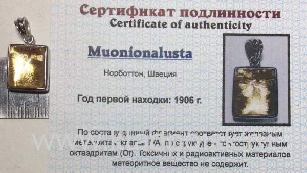 Подвеска из метеорита Муонионалуста (Muonionalusta) с позолотой (арт 7)