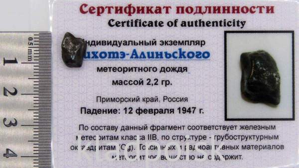 Индивидуальный экземпляр Сихотэ-Алиньского метеоритного дождя (арт 20)