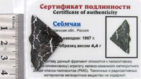 Спил метеорита Сеймчан арт 37